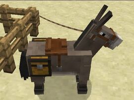 Burro - Minecraft Wiki