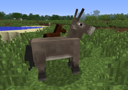 Mule – Minecraft Wiki