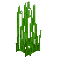 Tall Sea Grass.