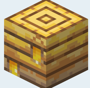 A bee nest full of honey.