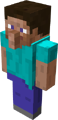 Steve Villager Hybrid