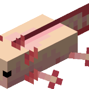 Axolotl Gallery Minecraft Wiki Fandom Axolotl Gallery Minecraft Wiki Fandom