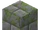 Mossy Stone Bricks