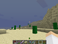 A mountain in a desert biome with cacti generated in common intervals