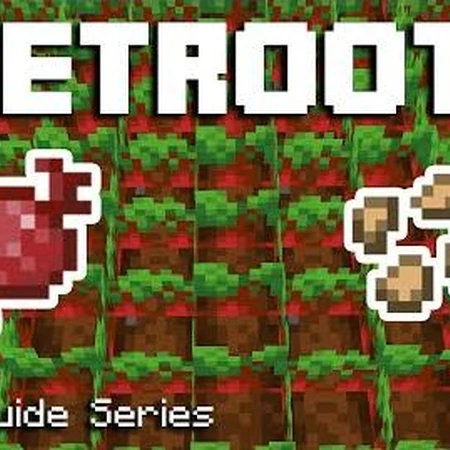 Beetroot Soup Minecraft Wiki Fandom