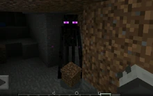 enderman multapalikka käsissänsä.