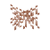 Hanging Azalea Roots.png