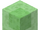 Slime Block