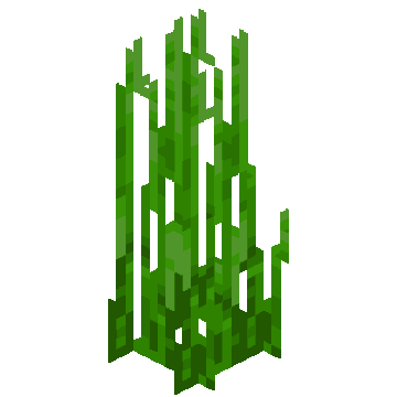 Seagrass - Wikipedia