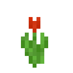 Tulipany4.gif