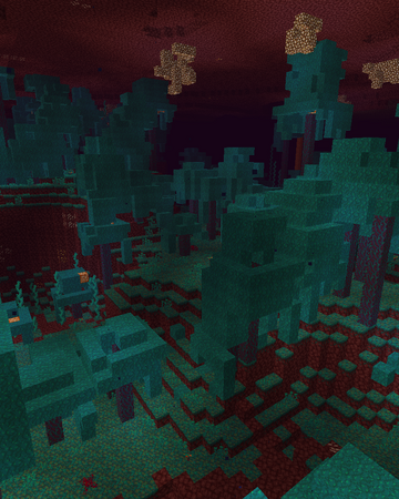 Warped Forest Minecraft Wiki Fandom Warped Forest Minecraft Wiki Fandom