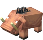 The baby hoglin's old model on Bedrock Edition before beta 1.16.0.57.