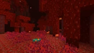 The Crimson Forest up close.