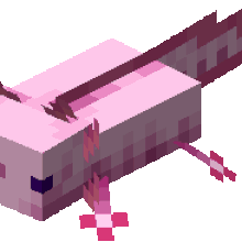 Axolotl Gallery Minecraft Wiki Fandom Axolotl Gallery Minecraft Wiki Fandom