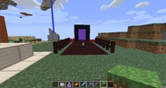 The Nether portal.