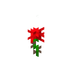 Rose3D.png