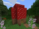 Mushroom House