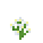 Houstonia.png
