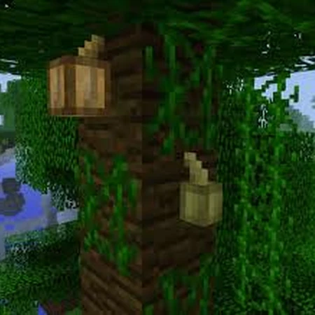 Cocoa Beans Minecraft Wiki Fandom