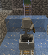Skeleton in a Minecart.