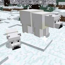 Polar Bear Minecraft Wiki Fandom