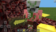 Old pigman