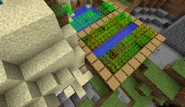 A buried treasure chest that naturally generated on land next to a Village farm plot