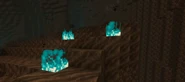 Soul fire in the soul sand valley biome.