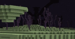 Chorus Plant | Minecraft Wiki | Fandom