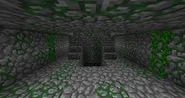 The inside of a jungle temple.