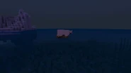 Two bears in boat.