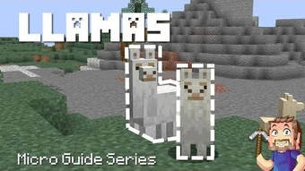 Llama Minecraft Wiki Fandom