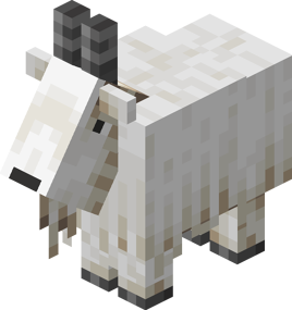 Adult Goat