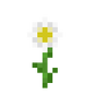 Margaretka.png