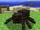 Spider/Gallery