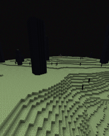 the end minecraft turkiye wikia fandom
