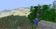 A jungle, desert, and hills biome.