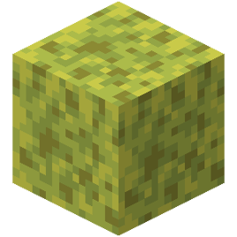 New Texture