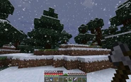 Snowy weather in the taiga biome.