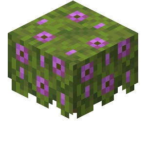 Azalea Minecraft Wiki Fandom