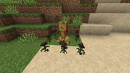 A creeper being withered by Wither Roses.