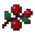 Sweet Berries.png