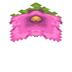 SporeBlossom.png
