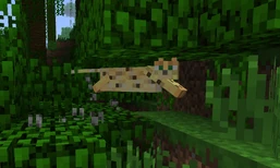 Minecraft oselotti.jpg (103 KiB) Oselotti juoksemassa puunlehden alla.