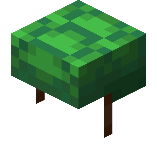 Turtle Shell, Minecraft Wiki