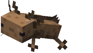 Axolotl | Minecraft Wiki | Fandom