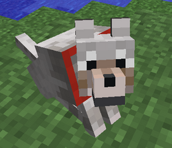 Wolf/Gallery, Minecraft Wiki, Fandom