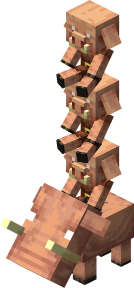 Multiple riding a Baby Hoglin