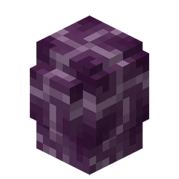 Chorus Plant | Minecraft Wiki | Fandom