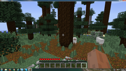 Giant Tree Taiga Biome, Minecraft Wiki
